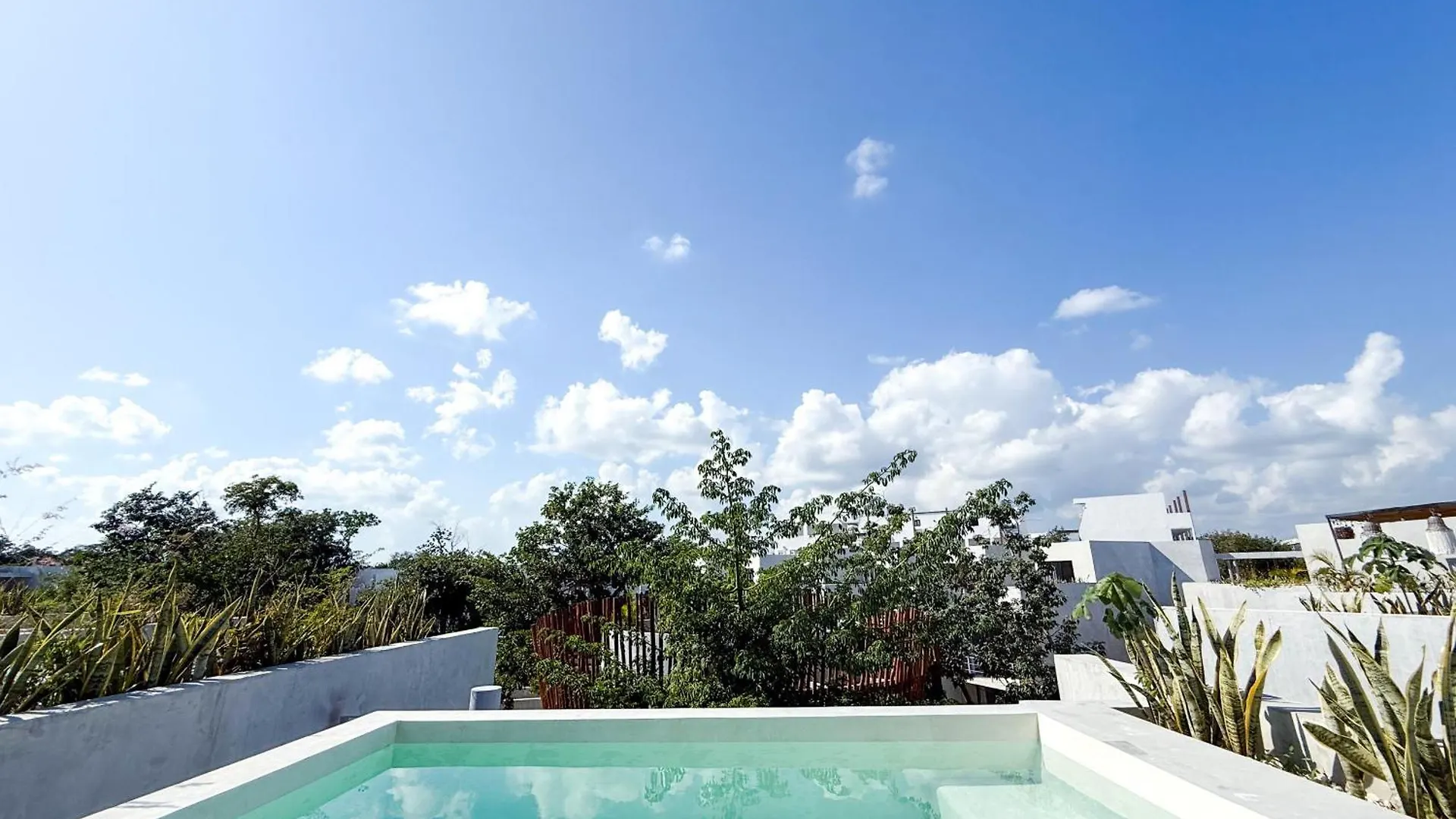 Private Pool & Grill 2 Bedroom Apartment 417 Selva Tulum